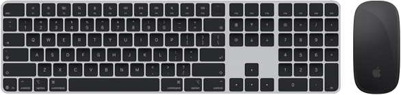 „Magic Keyboard“ su „Touch ID“ ir „Magic Mouse“ vaizdas iš viršaus