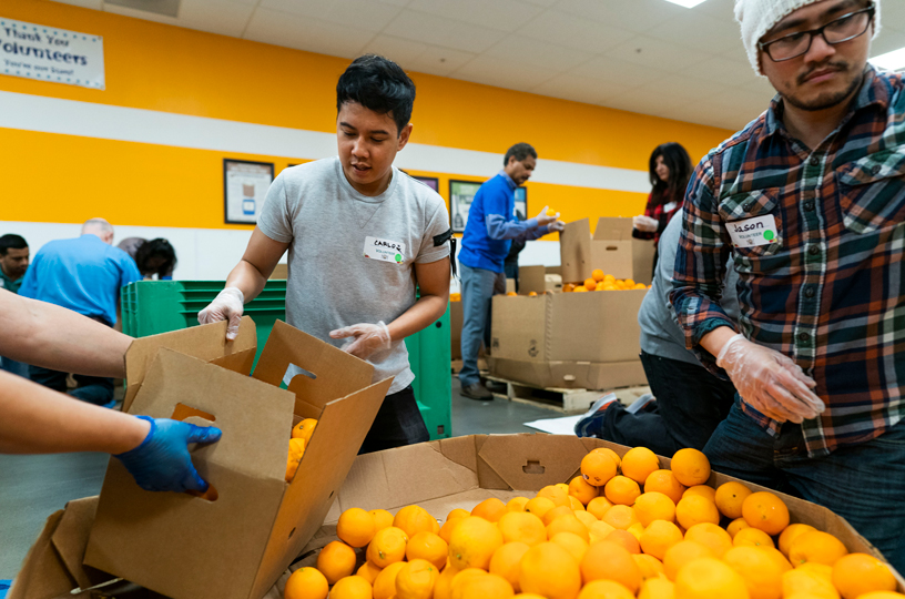 A young man sorting oranges.