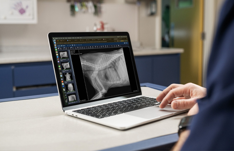 Op een MacBook Air worden gedetailleerde röntgenfoto’s en echo’s weergeven.