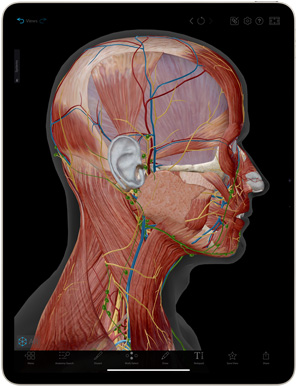 Human Anatomy Atlas app shown on an iPad Air