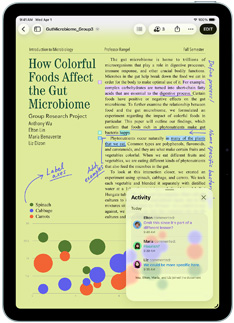 App Pages apresentada no iPad Air