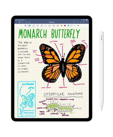Pantalla de un iPad que muestra un dibujo hecho a mano de una mariposa monarca junto a un Apple Pencil, para demostrar la creatividad