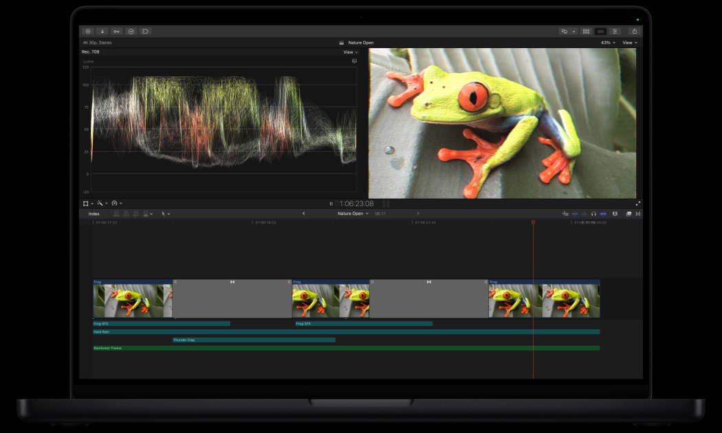 MacBook Pro 16, Final Cut Pro workspace, Image of brightly colored green frog on leaf