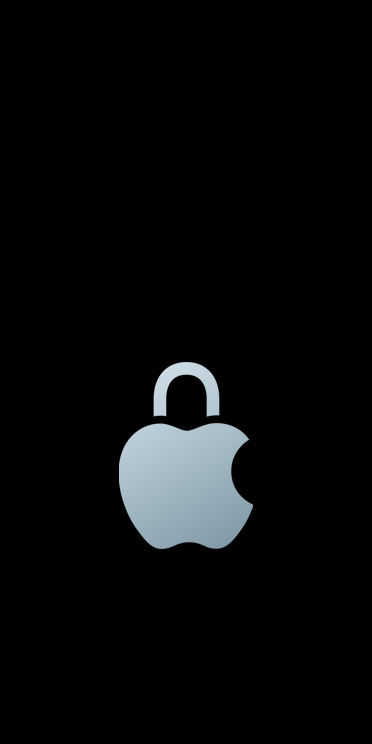 Silver Apple Privacy logo